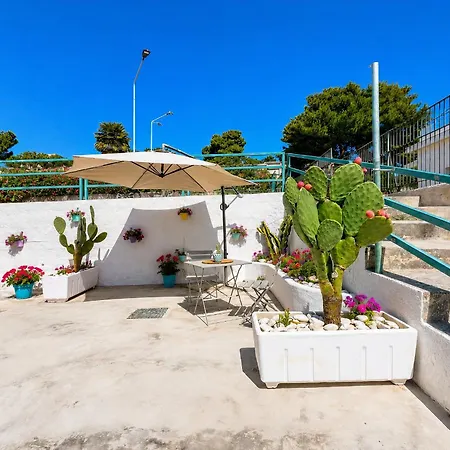 Casa Mida *